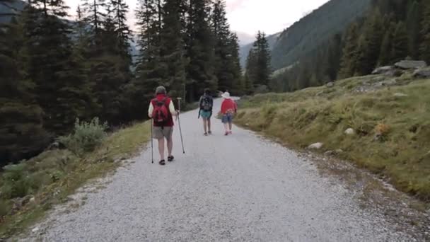 Trekking familiar en montaña — Vídeo de stock