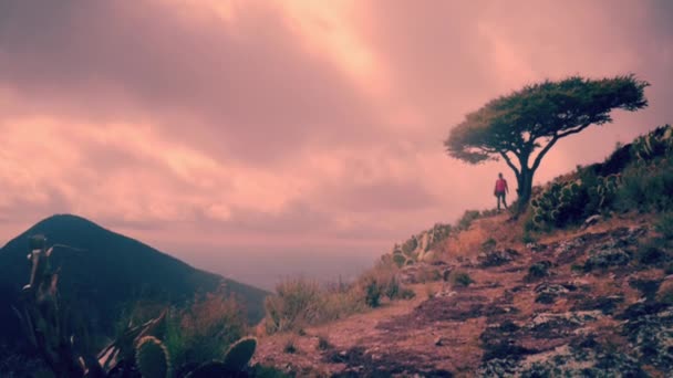 Trekking féminin sur le chemin — Video
