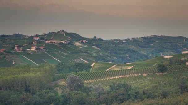 Panorama verde del viñedo — Vídeos de Stock
