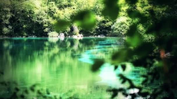 Foresta e lago nascosti tra gli alberi — Video Stock