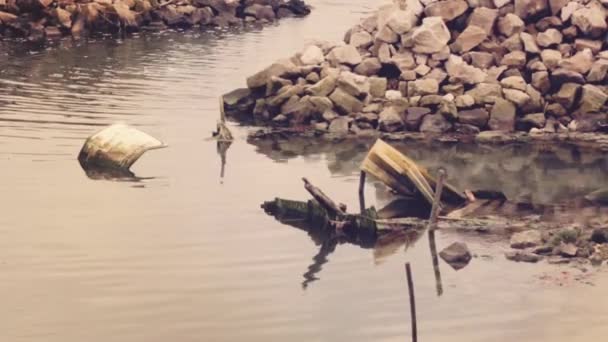 污染河水中 — 图库视频影像