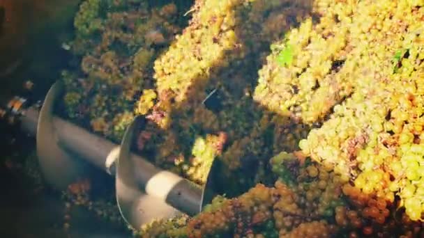 Winemaker corkscrew crusher — Stock Video