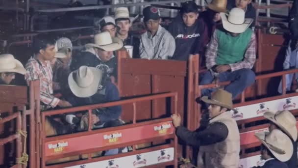 Menschen beobachten Cowboy beim Reiten — Stockvideo