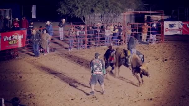 Gente viendo vaquero montar a caballo — Vídeo de stock