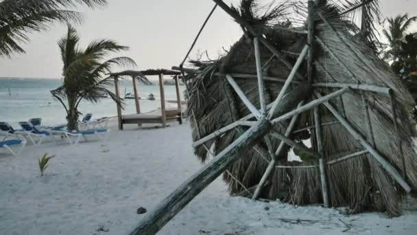 Cabañas de palmeras después del huracán — Vídeo de stock