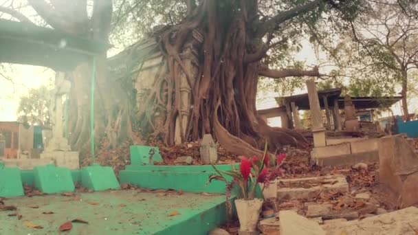 Hermoso cementerio mexicano — Vídeos de Stock