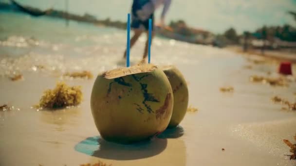 Cocos nas ondas da costa — Vídeo de Stock