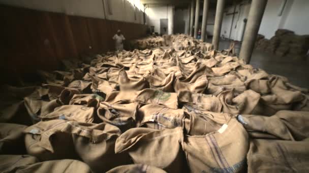 Les travailleurs accueillent sacs de café — Video