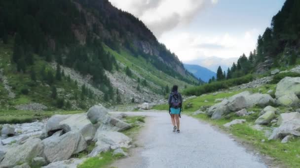 Női trekker séta a hegyi ösvény — Stock videók