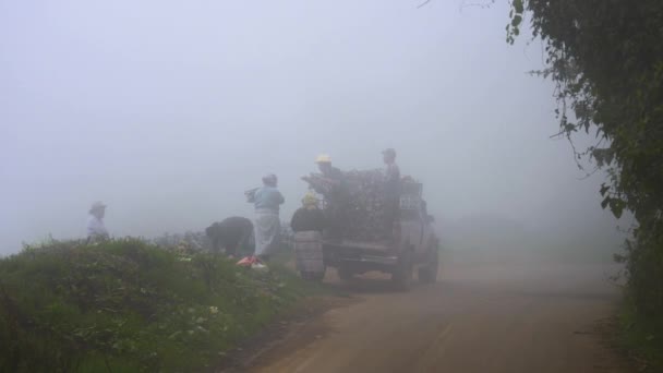 Les agriculteurs chargent le pick-up — Video