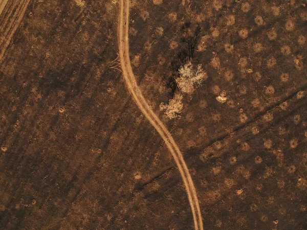 Vista Superior Terra Queimada Foto Drone — Fotografia de Stock