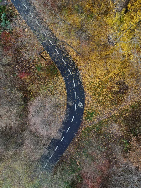 Droga Przez Jesienny Las — Zdjęcie stockowe