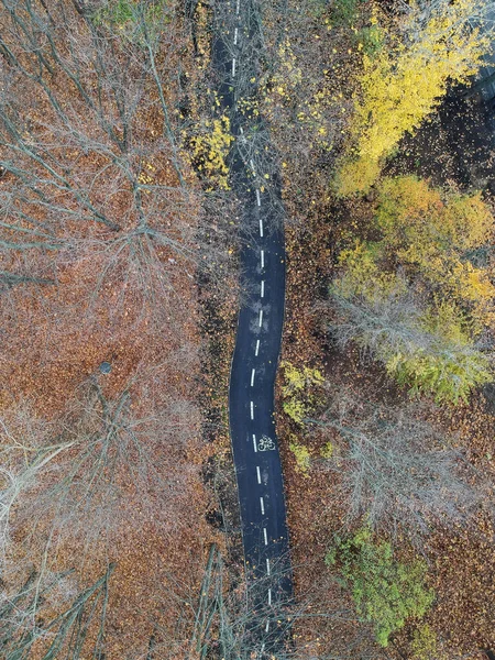 Дорога Крізь Осінній Ліс — стокове фото