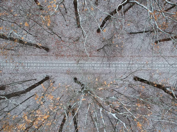 Luchtfoto Met Een Drone Van Een Spoorweg Het Winterbos — Stockfoto