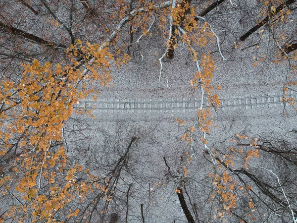 Widok Lotu Ptaka Dronem Kolejowym Lesie Zimowym — Zdjęcie stockowe