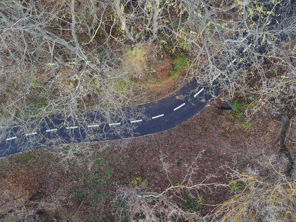 Road Autumn Forest Aerial Top View — Stock Photo, Image