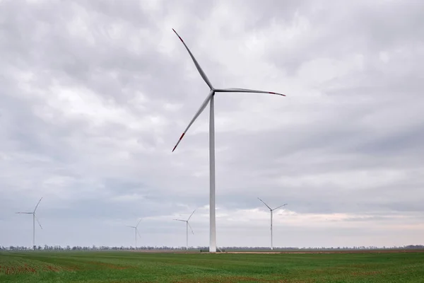 Wind Turbines Field Cloudy Day Nobody — Stock Photo, Image