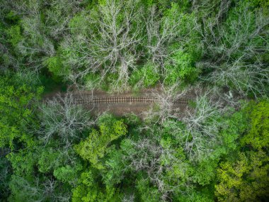 Yeşil ormandaki tren yolunun havadan görünüşü. Çocukların dar ölçülü demiryolu. Kimse yok.