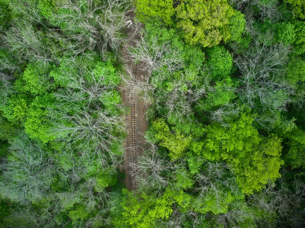 Αεροφωτογραφία Σιδηροδρόμου Στο Καταπράσινο Δάσος Παιδικοί Στενοί Σιδηρόδρομοι Χωρίς Ανθρώπους — Φωτογραφία Αρχείου
