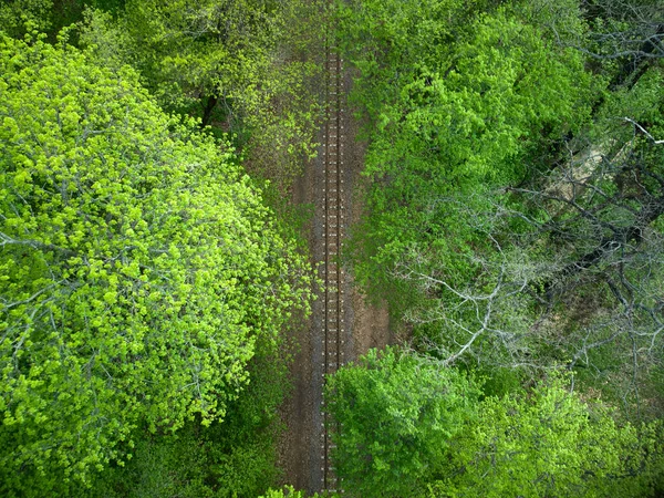 Aerial view of a train railroad in the green forest. children\'s narrow gauge railway. no people