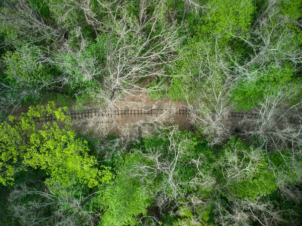 Luftaufnahme Einer Eisenbahn Grünen Wald Kinderschmalspurbahn Keine Menschen — Stockfoto