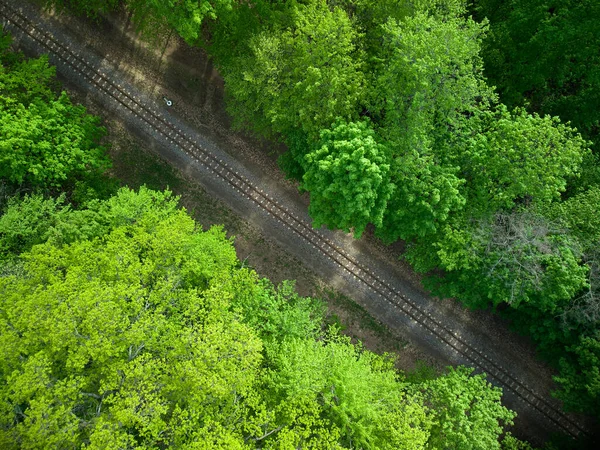 Aerial view of a train railroad in the green forest. children's narrow gauge railway. no people