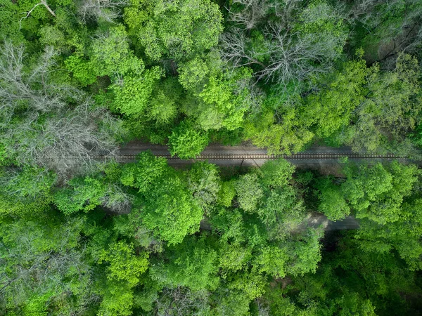 Вид Повітря Залізницю Зеленому Лісі Дитяча Вузькоколійка Немає Людей — стокове фото