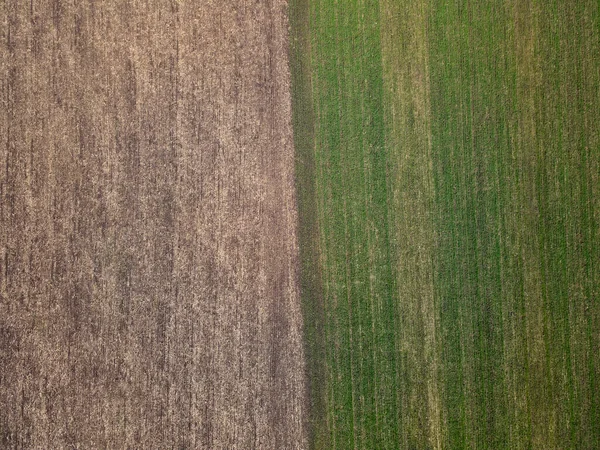 Vista Aérea Dois Campos Agrícolas Campo Dia Primavera Drone Disparado — Fotografia de Stock