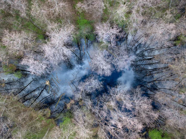 Widok Lotu Ptaka Jezioro Lesie Wczesną Wiosną Odbicie Nieba Powierzchni — Zdjęcie stockowe