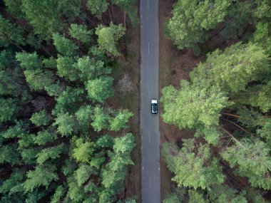 Gökyüzü manzaralı asfalt yol ve yukarıdan manzaralı yeşil çam ormanı. İHA atışı