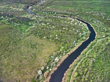 Büyük yeşil bir çayır ve ormanın insansız hava aracı görüntüsü ve güneşli bir günde büyük mavi bir nehir.