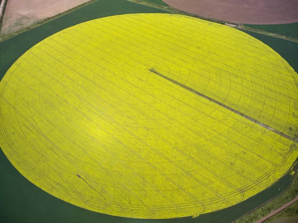 Sistema Irrigação Central Pivô Campo Colza Amarelo Vista Drone Aéreo — Fotografia de Stock