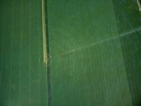 Center pivot irrigation system on a green field aerial drone view