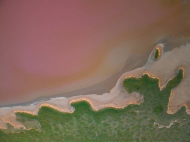 Pembe bir tuz gölünün havadan görünüşü. Azov Ukrayna