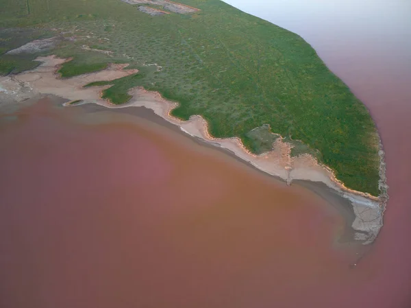 Vue Aérienne Lac Salé Rose Azov Ukraine — Photo