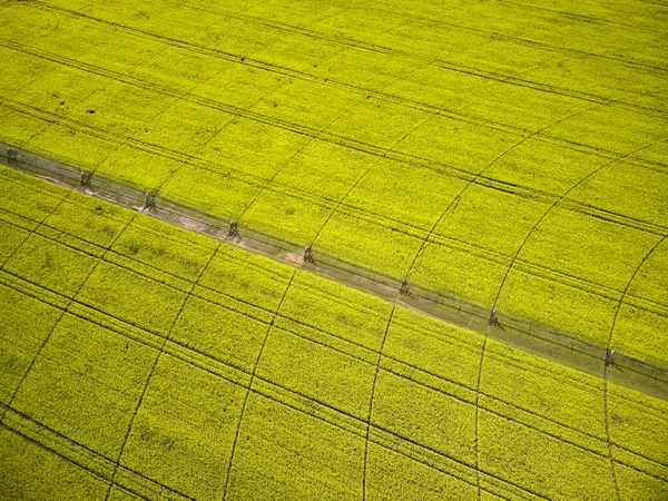 Sistema Irrigazione Perno Centrale Campo Colza Giallo Vista Aerea Drone — Foto Stock