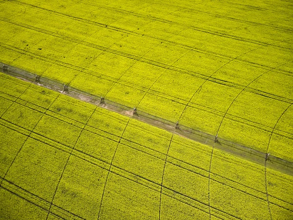 Sistema Irrigação Central Pivô Campo Colza Amarelo Vista Drone Aéreo — Fotografia de Stock