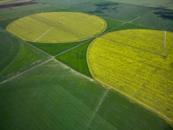 Center Pivot Irrigation System Yellow Rapeseed Field Aerial Drone View — Stock Photo, Image