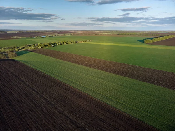 空中ドローン緑の農地 春の風景の眺め — ストック写真