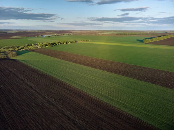 Aerial Drone View Landscape Green Agricultural Fields Springtime — Stock Photo, Image