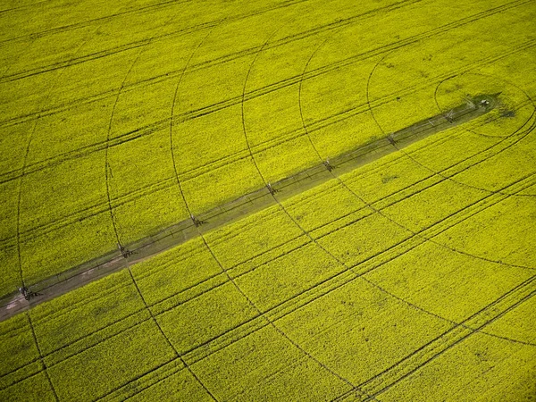 Sistema Irrigação Central Pivô Campo Colza Amarelo Vista Drone Aéreo — Fotografia de Stock