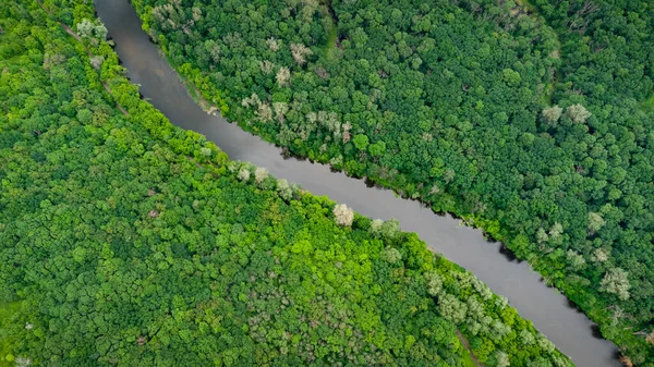 Aerial View River Which Green Forest Drone Photo — Stock Photo, Image