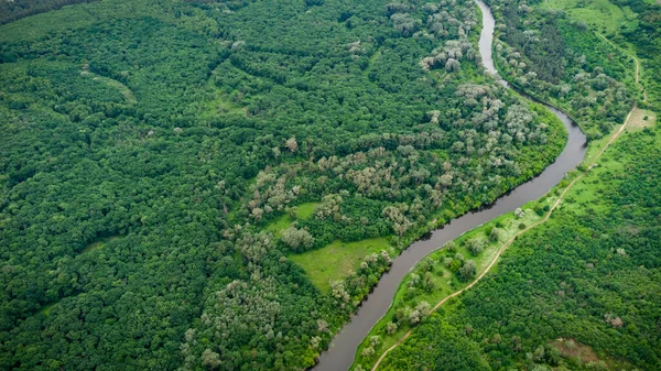 Aerial View River Which Green Forest Drone Photo — Stock Photo, Image