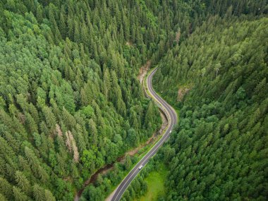 Dağlarda dolambaçlı bir yolun geçtiği kozalaklı bir ormanın yukarıdan görünüşü.
