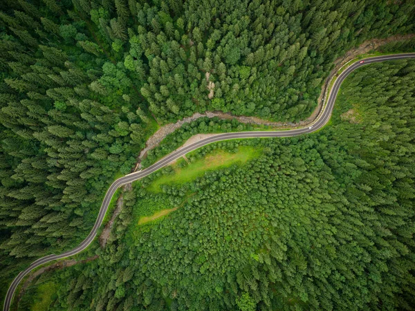 산속을 구불구불 지나가는 침엽수림의 정상을 내려다 — 스톡 사진