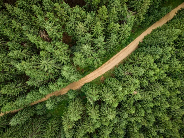 산속에 비포장도로를 통과하는 침엽수림을 공중에서 내려다볼 수있다 — 스톡 사진