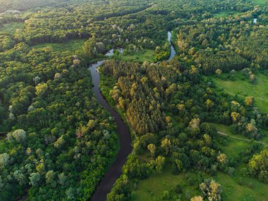 Nehrin üzerindeki yeşil ormandaki hava manzarası. İHA fotoğrafı