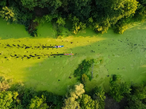 Letecký Pohled Velkou Skupinu Kajaků Které Cestují Lesní Řece Letní — Stock fotografie