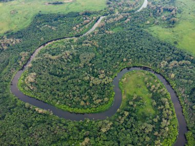 Nehrin üzerindeki yeşil ormandaki hava manzarası. İHA fotoğrafı