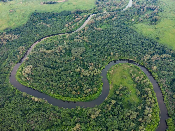 Nehrin üzerindeki yeşil ormandaki hava manzarası. İHA fotoğrafı